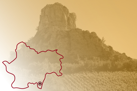 Roche solutré / vignes